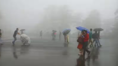 Photo of UP Weather: उत्तर प्रदेश के कई इलाकों में भारी बारिश का अलर्ट