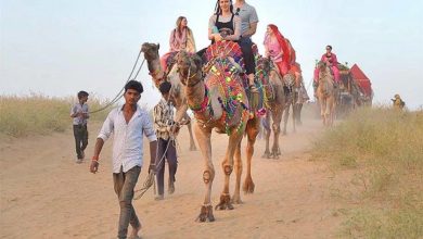 Photo of 2020 के बाद से राजस्थान में घरेलू पर्यटन 12 गुना बढ़ा