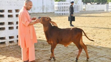 Photo of 74 करोड़ से प्रदेश के गौ पालकों को स्वावलंबी बनाएगी योगी सरकार